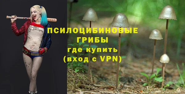 ГАЛЛЮЦИНОГЕННЫЕ ГРИБЫ Алексеевка