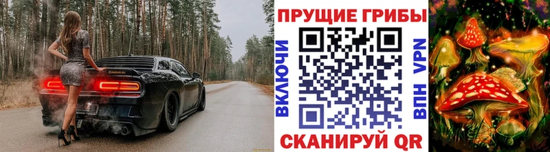 Галлюциногенные грибы Psilocybe  купить наркотик  Новодвинск 